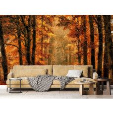 Een fotobehang van een magisch pad door het herfstbos in een huiskamer.