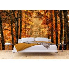 Een fotobehang van een magisch pad door het herfstbos in een slaapkamer.