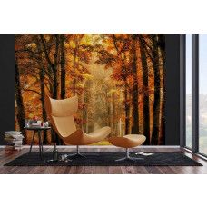 Een fotobehang van een magisch pad door het herfstbos in een huiskamer met vliesbehang.