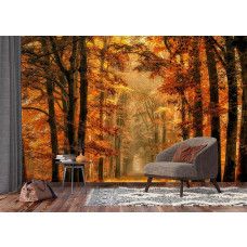 Een fotobehang van een magisch pad door het herfstbos in een woonkamer met vliesbehang.