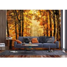 Een fotobehang van een magisch pad door het herfstbos in een woonkamer.