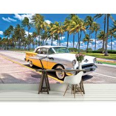 Een kantoor met een oldtimer in Miami omringd door hoge palmbomen.