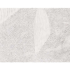 Zoomfoto van een fotobehang met een minimalistisch botanisch design van fijne bladeren in neutrale en natuurlijke tinten.