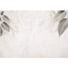 Fotobehang met een minimalistisch botanisch patroon van fijne bladeren in zachte groentinten op een lichte achtergrond.