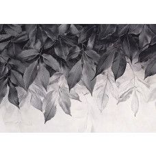 Fotobehang met minimalistische botanische bladeren in zwart-wit op een lichte achtergrond.