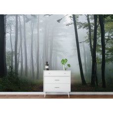 Fotobehang van een ochtendbos met mistig wandelpad in een stijlvol kantoor.