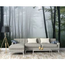 Fotobehang van een mistig bospad in de ochtend aan de muur van een sfeervolle woonkamer.