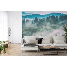 Een fotobehang met een betoverend beeld van een mistig boslandschap, perfect voor een woonkamer.