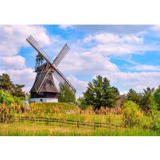 Fotobehang Molen in de Lente met een landschap en groene natuur en graan.