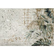 Fotobehang, Monstera bladeren betonlook muur groen