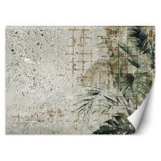 Fotobehang, Monstera bladeren betonlook muur groen