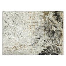 Fotobehang, Monstera bladeren betonlook muur
