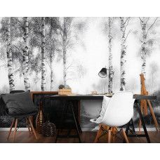 Fotobehang van een mystiek berkenbos in de ochtendmist aan de muur van een sfeervol kantoor.