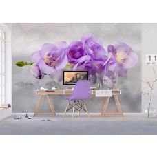 Een fotobehang van een prachtige orchideeėnbloem, perfect voor het creėren van een verfijnde sfeer in een kantoor.