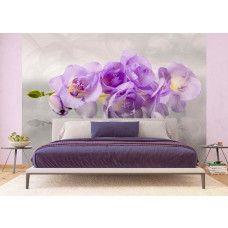 Een fotobehang van een orchideeėnpracht, ideaal voor het toevoegen van een bloemrijke, rustgevende uitstraling in een slaapkamer.