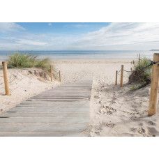 Een fotobehang met een houten pad naar het strand, omgeven door duinen en helmgras, met de zee op de achtergrond en een helderblauwe lucht.