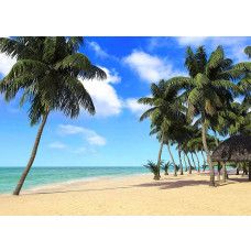 Een fotobehang van palmbomen bij de zee op een strand, dat een rustgevende en exotische sfeer toevoegt aan de ruimte.