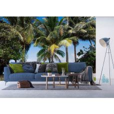 Een fotobehang van palmbomen langs de zee in een woonkamer met Airtex en vliesbehang.