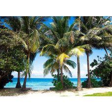 Een fotobehang van palmbomen langs de zee.