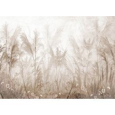 Een fotobehang met een pampasgras tuin, waarin sierlijke pluimen in warme zandtinten een zachte en natuurlijke uitstraling geven.