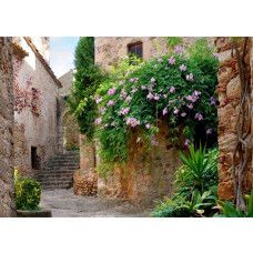 Een fotobehang van een patio tuin in Peratallada.