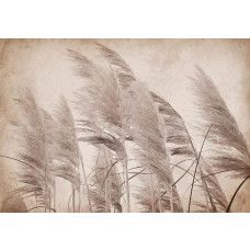 Fotobehang met vintage pluimen in zachte, natuurlijke tinten en gedetailleerde patronen.