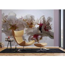 Een fotobehang van pruimenbloesems bloemen in een woonkamer met Airtex en vliesbehang.