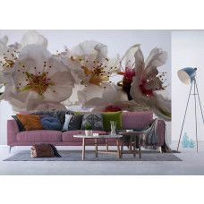 Een fotobehang van pruimenbloesems bloemen in een huiskamer met Airtex en vliesbehang.