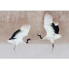 Fotobehang, Reiger Vogels Beige