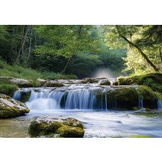 Fotobehang met rustgevende waterval en groen bos in zachte lichtinval.