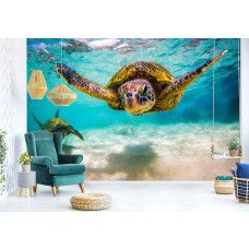 Fotobehang schildpad in de oceaan in de woonkamer met een realistische onderwaterwereld vol zwemmende schildpadden.