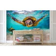 Fotobehang schildpad in de oceaan in de hal met levendige schildpadden en een helderblauwe oceaan.