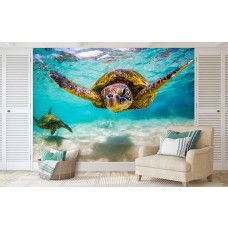 Fotobehang schildpad in de oceaan in het kantoor met een indrukwekkende onderwateropname van een zwemmende schildpad.