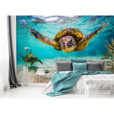 Fotobehang schildpad in de oceaan in de slaapkamer met kleurrijk turquoise water en sierlijk bewegende schildpad.