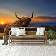 Fotobehang Schotse hooglander bij Zonsondergang, met een Schotse Hooglander die rustig ligt op het gras in een hal of gang, met een zonsondergang op de achtergrond en subtiele bergen.