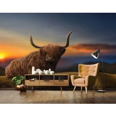 Fotobehang Schotse hooglander bij Zonsondergang, met een Schotse Hooglander die rustig ligt op het gras in een kantoor, met een zonsondergang op de achtergrond en subtiele bergen.