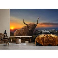 Fotobehang Schotse hooglander bij Zonsondergang, met een Schotse Hooglander die rustig ligt op het gras in een slaapkamer, met een zonsondergang op de achtergrond en subtiele bergen.