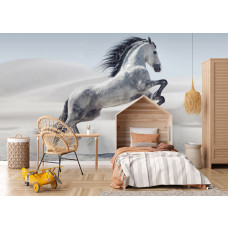Fotobehang met wit paard in de woestijn als opvallende wand in de kinderkamer.