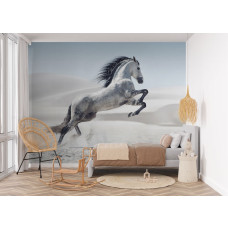 Steigerend paard fotobehang in een meisjeskamer met lichte, natuurlijke tinten.