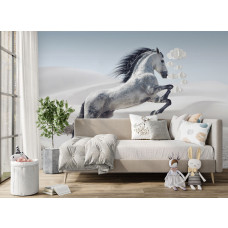 Fotobehang met krachtig paard in de woestijn toegepast in een stijlvolle tienerkamer.