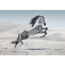 Fotobehang Steigerend Paard in de Woestijn met een krachtig wit paard dat steigert in een lichte zandvlakte met zachte duinen op de achtergrond.