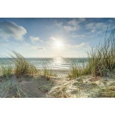Fotobehang Strand met Duinen en Zee met uitzicht over zand, helmgras en glinsterende golven.
