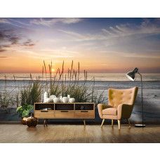 Een kantoor met fotobehang helmgras op een duin met warme kleuren van de zonsondergang.