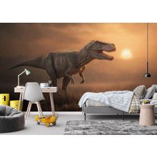 Fotobehang T-Rex in de avondzon in een jongenskamer met een avontuurlijke dinosaurus in het grasland bij schemering.