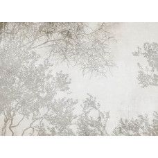 Fotobehang met artistieke silhouetten van takken tegen een subtiele achtergrond, perfect voor een minimalistische en stijlvolle uitstraling.