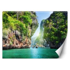 Fotobehang, Tropische baaipalmen