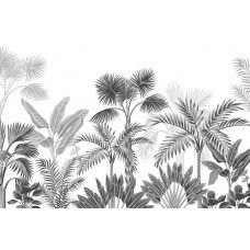 Een fotobehang van tropische planten in de jungle.