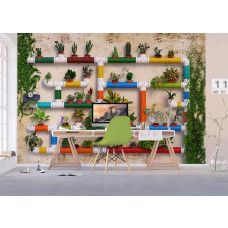 Een fotobehang van tuinplanten op een waterleidingmuur, perfect voor het creėren van een groene en frisse sfeer in een kantoor.