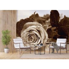 Een fotobehang van een vintage roos in sepia tinten in een woonkamer.