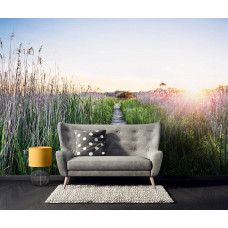 Fotobehang wandelpad in de avondzon met een houten pad tussen hoog gras en een warme zonsondergang; ideaal voor een rustgevende sfeer in de bedrijfsruimte.